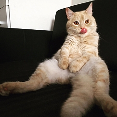 Девушка массажистка Нежные руки, салон Нежные руки